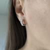 Silver Earrings with Cubic Zirkonia (2184195)
