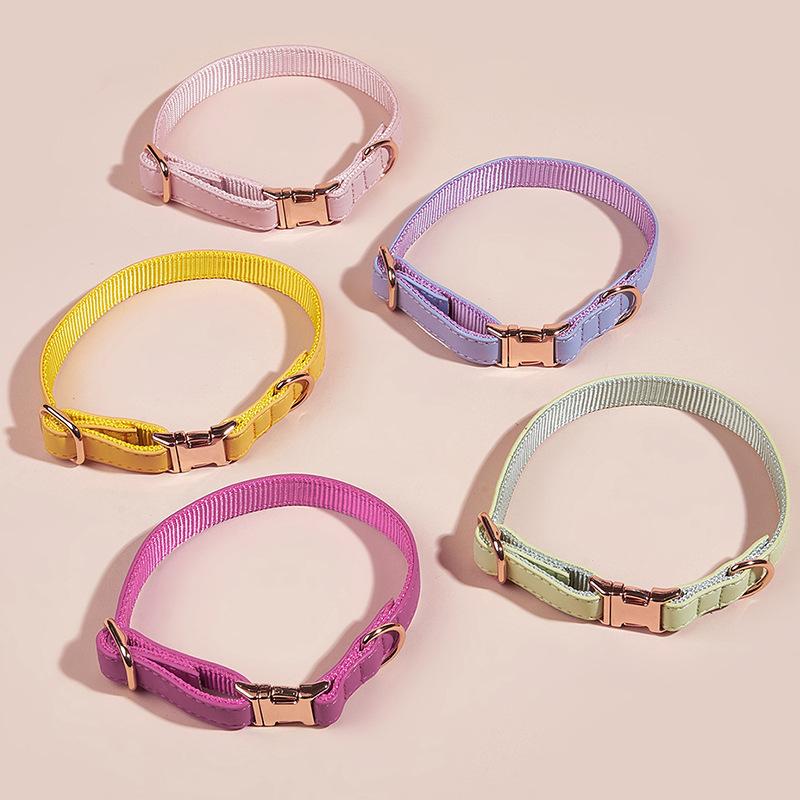Dog Collar Candy Color Retro Cat Collar Small and Medium Dog Pet Dog Collar