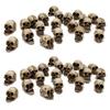 40Piece Skulls Human Head Skull Realistic Skeleton Skulls For Halloween Table Decor