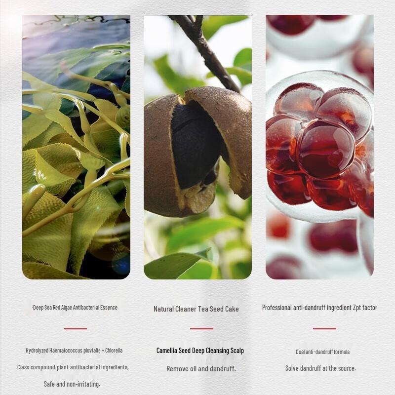 B2v Red Algae Silicone-Free Anti-itch Oil Control Shampoo