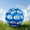 Shining Star Of Fc Schalke Size 5 Soccer Ball,Indoor/Outdoor Suitable for Training Matches Tournaments Practice Games Perfect Gift for Fan