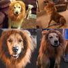 Lion Mane for Dog Costumes Realistic Funny Lion Wig for Medium Large Sized Dogs Halloween Pet Costume (Large, Light Brown)