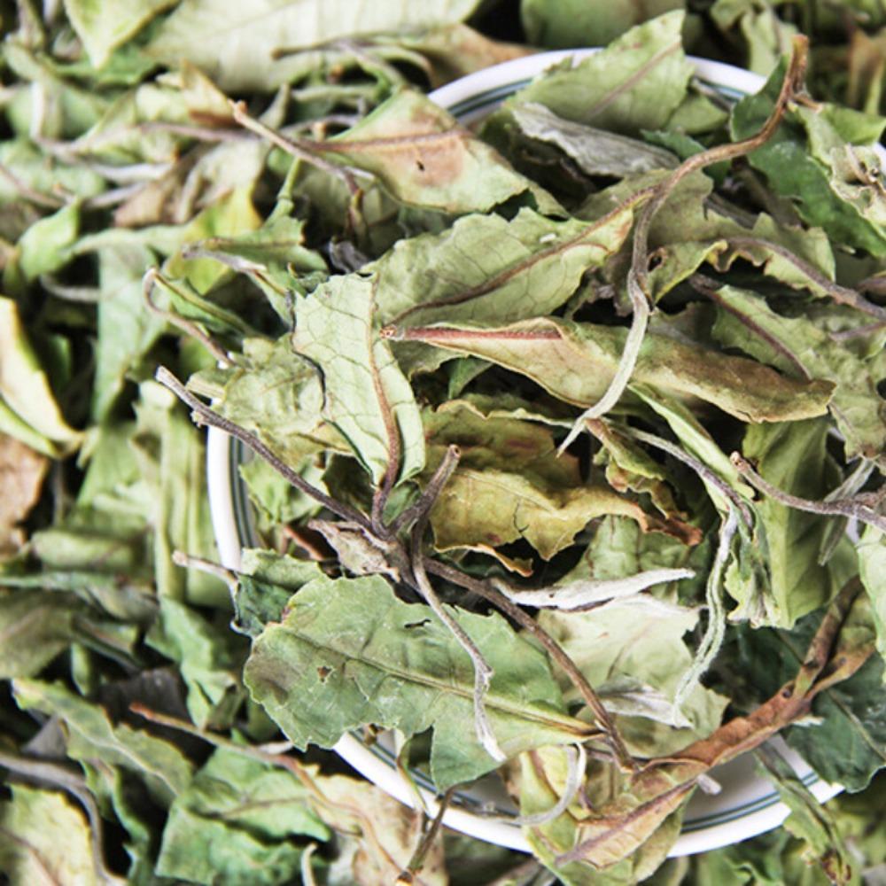 Organic Yunnan White Tea 500g Large Leaf Honey Flavor Bulk Loose Tea