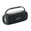 2x10 W Portable Speaker