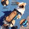 Pet Scooter Wheelchair for Disabled Dogs and Cats with Hind Leg Paralysis, Suitable for All Sizes