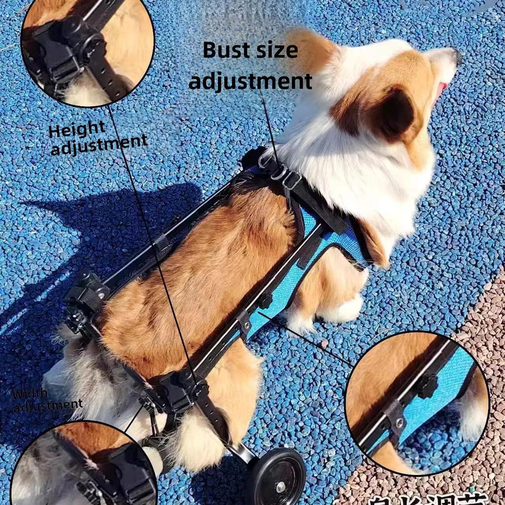 Pet Scooter Wheelchair for Disabled Dogs and Cats with Hind Leg Paralysis, Suitable for All Sizes