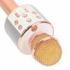 Wireless Microphone Professional Condenser Karaoke Mic Bluetooth Stand Radio Microphone Recording Studio