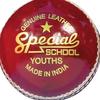 Readers Childrens/Kids Special School Leather Cricket Ball