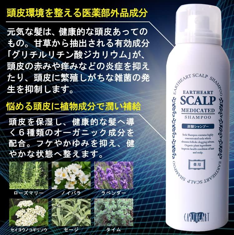 Salon Medicated Carbonated Scalp Shampoo Scalp Cleansing Carbonated Shampoo for Hair Thinning Hair and and Hair Loss Salon Made in [Beauty Exclusive]