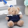 Teddy Bear Pendant Plush Toy with Colorful Clothes Keychain - Customizable Souvenir