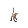 Schleich Dinosaur Dracorex Figure 15014