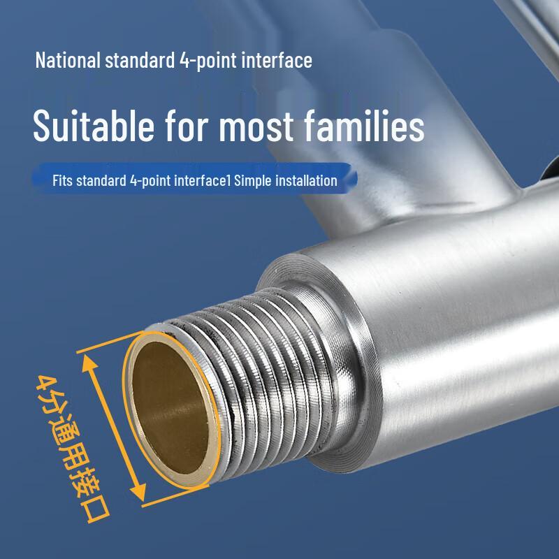 Shenzhang 304 Stainless Steel Wall-Mounted Single Cold Kitchen Faucet