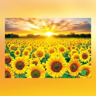 Toy & Puzzle Noeuljin Sunflower Jigsaw Puzzle, oblíbené korejské puzzle