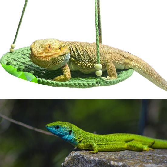 Reptile Hammock Hand Woven Strong Load-bearing Gecko Lizard Swing Toy Round Bearded Dragon Swing Hanging Bed