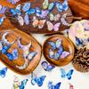 56 Blue Butterfly Transparent Pet Stickers Wind Literary Landscaping Creative Decorative Sticker Batch
