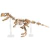  Nanoblock Dinosaur Deluxe Edition Tyrannosaurus Rex & Tyrannosaurus Skeleton Model Set of 2 A004