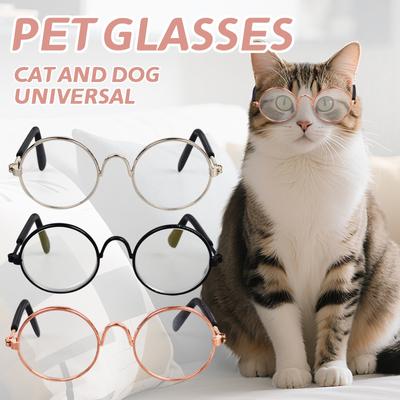 Óculos para Pet/Boneca, Produtos para Gatos, Produtos Criativos e Modernos para Cães e Animais de Estimação, Novos, Únicos e Modernos