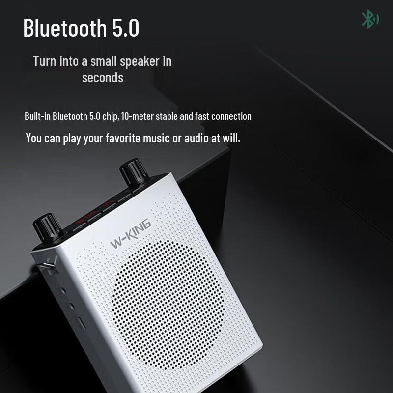 W-King KS16 Portable Bluetooth Voice Amplifier CN plug (adapter included)