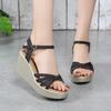 Fashion Plus Size 2025 Summer New Women's Sandals Platform Print Buckle Strap Rome Sandals Outdoor Casual Wedges Shoes Female Zapatos