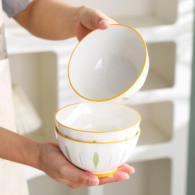 Japanese Underglaze Ceramic Rice Bowl Set