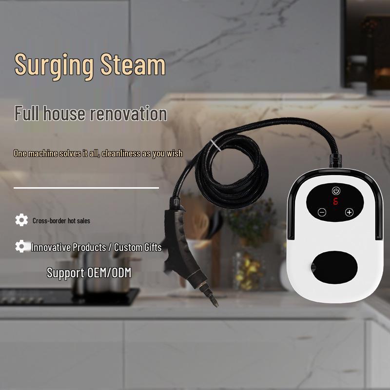 Nettoyeur vapeur haute température Bestseller russe: Lave-linge multi-usages pour climatiseur et appareils ménagers