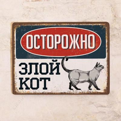 Evil Cat Tin Sign, Funny Pet Metal Wall Decor 20x30cm