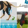 Anti-Licking Pet Leg Support Breathable Dog Rear Leg Brace  Post-Operation Care