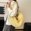 Bag Women's 2025 New Spring Lazy Wind Casual Niche Design Tote Large Capacity Shoulder Messenger Cloth Bag