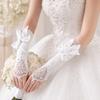Bead Detailing Wedding Bridal Gloves Lace Embroidery Bridal Arm Sleeves  Wedding Accessories