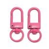 New Color Spray Paint Door Buckle Keychain: DIY Doll Pendant for Phone & Bag