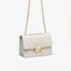 New Leather Fashion Messenger Bag Light Luxury Versatile Small Bag Commuter Women's Bag Shoulder Chain Bag Luggage