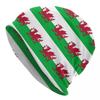 Flag Of Wales Skullies Beanies Caps Winter Warm Knitted Hat Men Women Hip Hop Adult Welsh Dragon Bonnet Hats Outdoor Ski Cap