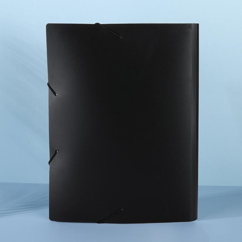 2pcs Portable Expanding A4 Folder 12-Compartment Document Organiser with Index Labels, PP Elastic Fastener Filer Case