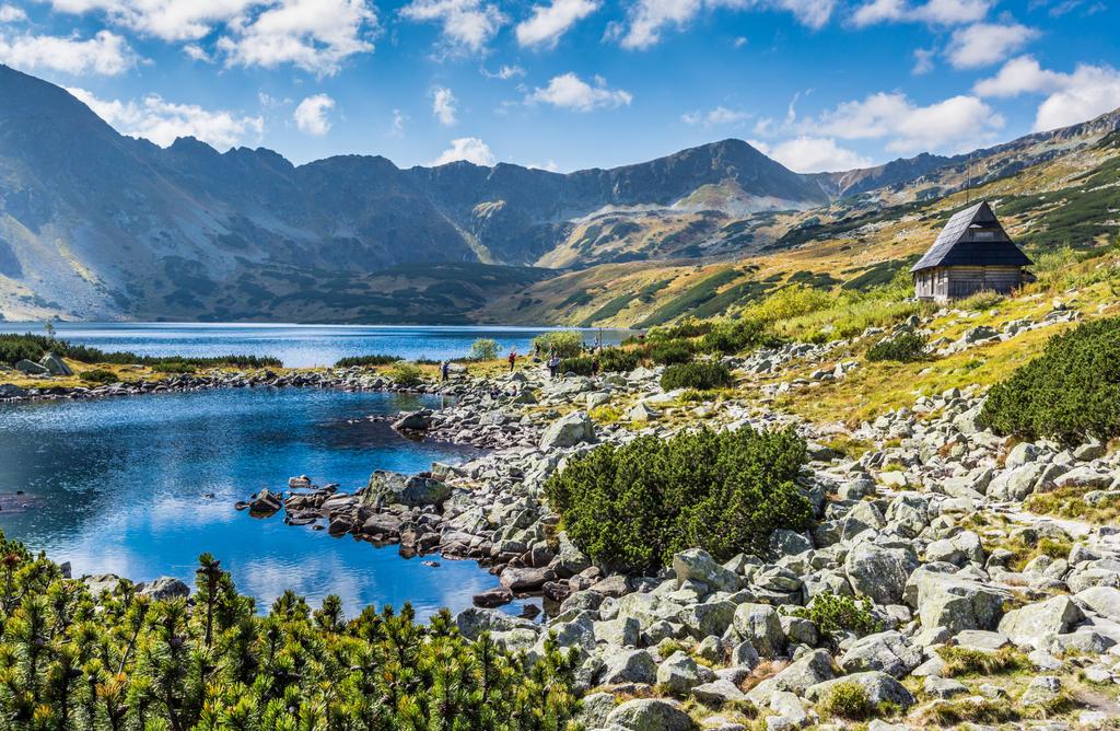 Photomural Mountain Lake In The Valley Structural Vinyl 450x300