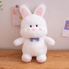 Bear Cute Puppy Rabbit Fox Plush Toy Cartoon Girl Sleep Companion Holiday Gift