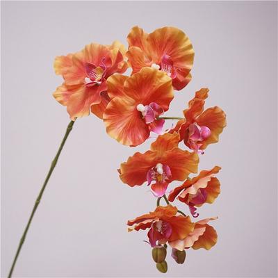 9hlavá Umělá Motýlí Orchidej Železný Drát Vnitřní Výplň Vícebarevná Falešná Phalaenopsis 98cm Simulace Květiny s Dotykem Skutečnosti