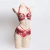 2Pieces Tribal Belly Dance Bra and Belt Belly Dancing Outfit Belly Dancer Costumes for Women