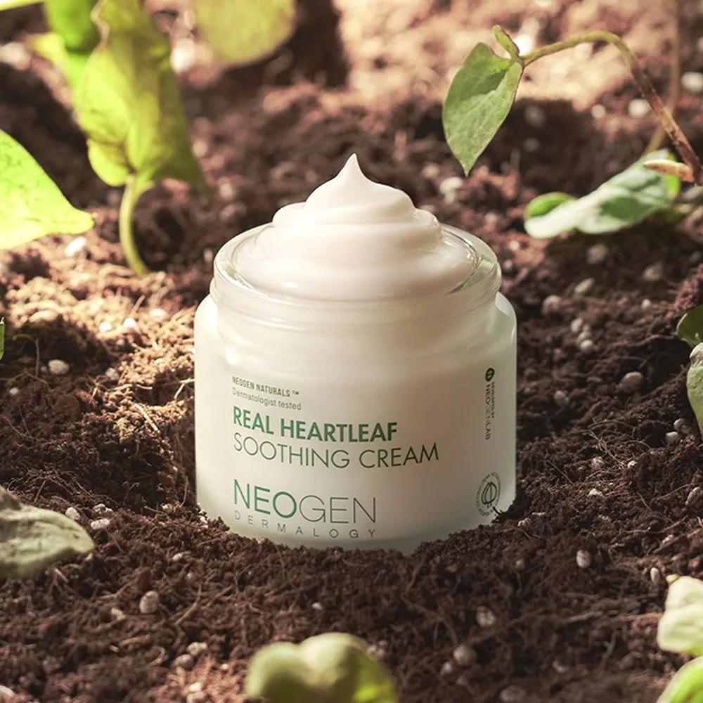 [Houttuynia Cordata 75%/Moisture Soothing] Real Heartleaf Moisture Soothing Cream 80g