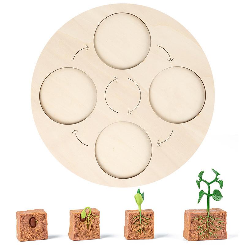 Wooden Animal Kids Growth Cycle Puzzle Educational Toy For Kids Early Education