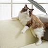 Kattenkrabmat Natuurlijk Sisal Kattenkleed Rugleuning Slijtvast Geen Splinters Bescherming Meubels Bank Kussen Huisdierbenodigdheden