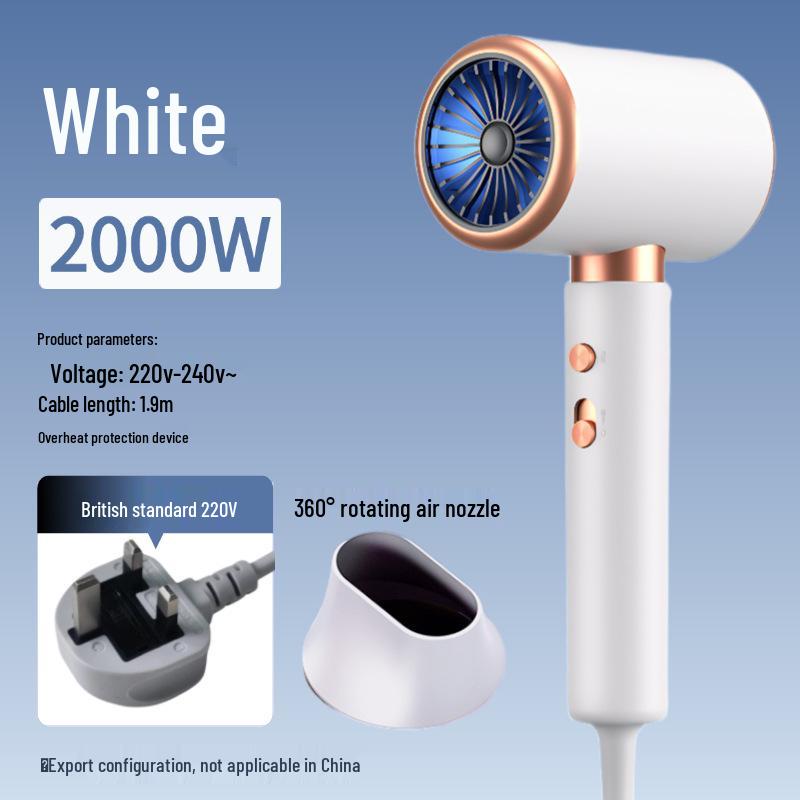

Professional High-Power Hair Dryer for Salon and Home Use