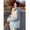 Winter Short Down Jacket Women Loose Fit Thickened Warm Puffer Coat Casual Parka