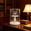 2 Tier Round Blind Box Display Case Rotatable Dust Proof Ample Space Stackable Blind Box Display Case