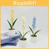 Hyacinth Indoor Garden Decoration Faux Flower Pot With Plastic And Silk For Living Room And Event Use