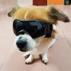Dog Glasses Outdoor Pet Goggles for Large Dogs Windproof Outdoor Riding Dog Goggles UV Protection Dog Accessories Dog Collar