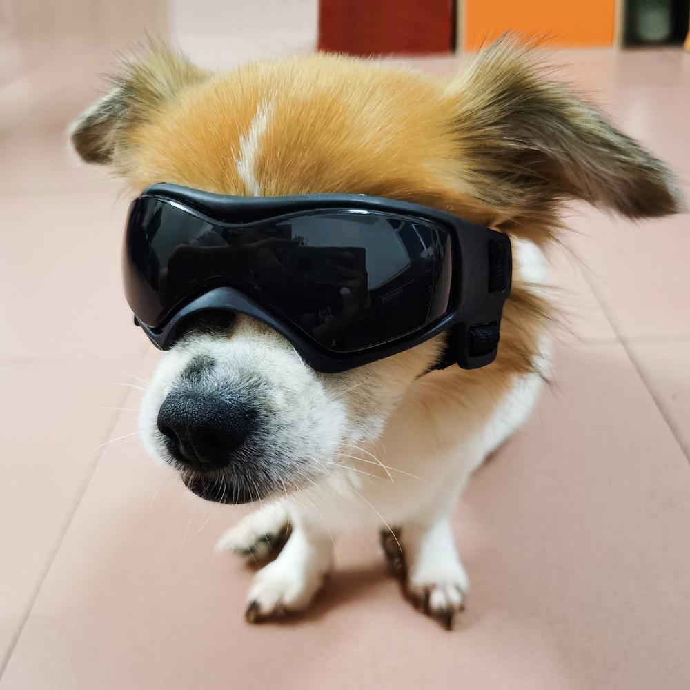 Dog Glasses Outdoor Pet Goggles for Large Dogs Windproof Outdoor Riding Dog Goggles UV Protection Dog Accessories Dog Collar
