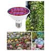 ABWR-2X E27 300Leds Plant Grow Lamp LED Full Spectrum Growth Light Bulbs Seedling Flower Phyto Lamp