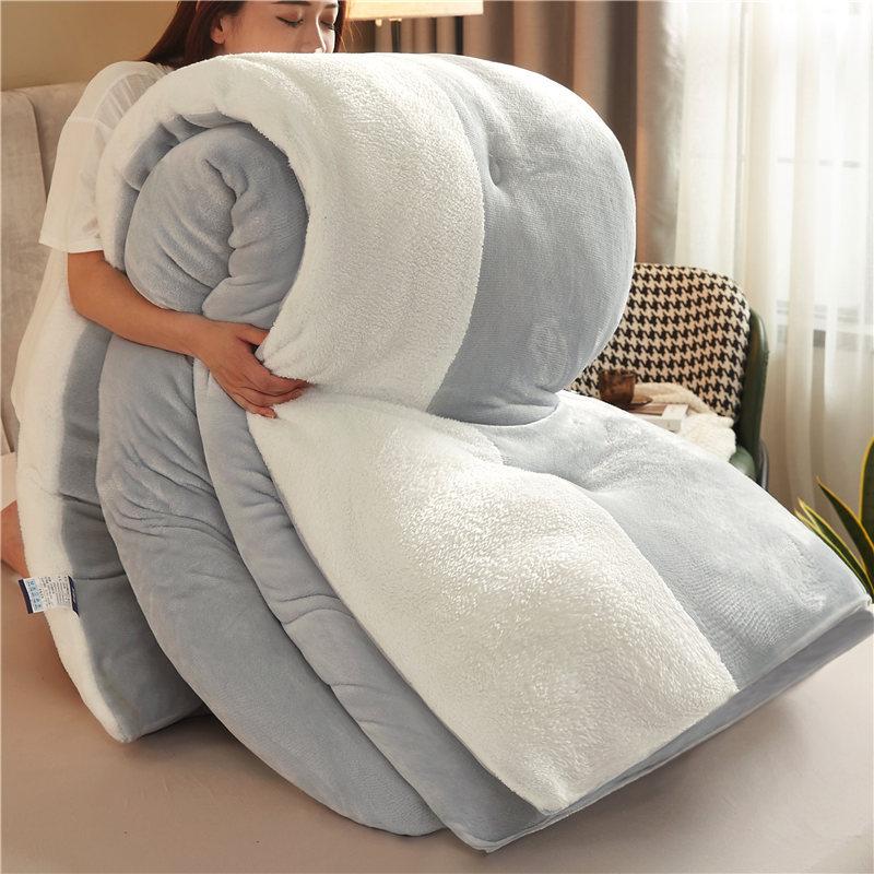 Super Thick Winter Lamb Wool Quilt Winter Quilt Core Thickened To Keep Warm 10 Jin Single Double Student Autumn And Winter