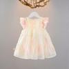 Summer Infant Girls Thin Dress Princess Style Childrens Clothing Baby Girl Flying Sleeve Summer Chiffon Dress