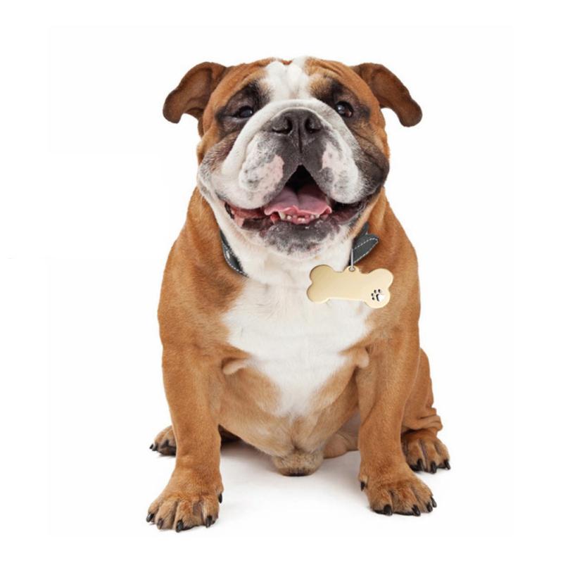 Hollowed Paw Shaped Collar  Pendant Engraved Dog Name Label Stainless Steel Shiny Puppies Tags